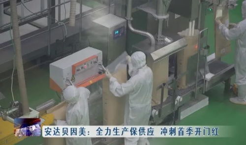 安达贝因美全力生产保供应 冲刺首季开门红