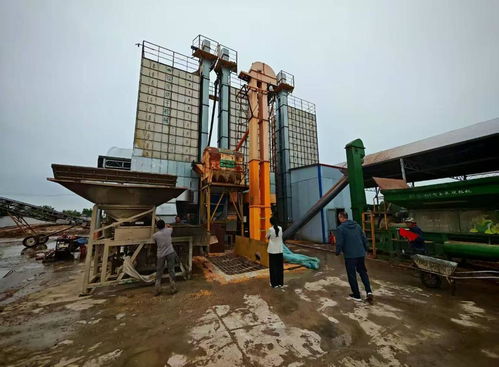 山东“抢天夺时”战三秋 财政发力筑牢粮安基石，器材及配件制造保驾护航